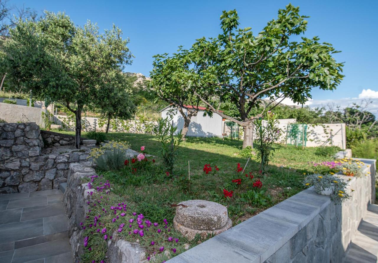 Villa Carmen Draga Bascanska Luaran gambar